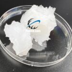 Snow white Petroleum Jelly, How Snow-white Petroleum Jelly is produced?, Crude Oil Extraction, Distillation, Hydrogenation, Filtration and Purification, Cooling and Solidification, Packaging,